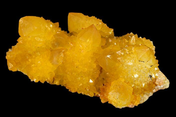 Sunshine Cactus Quartz Crystal Cluster - South Africa #132888